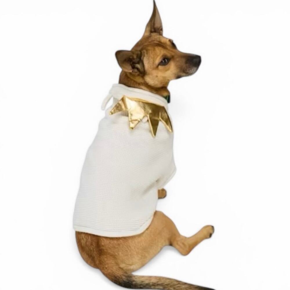 YOULY Crown Knit Pet Sweater Small Cream Gold Royal Dog Costume Hooded Knitwear